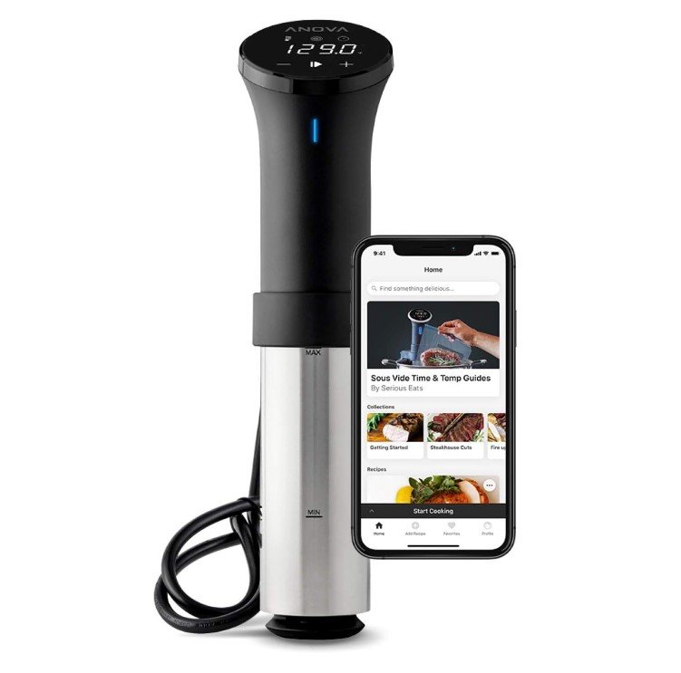 Mejores roners sous vide calidad-precio 2026