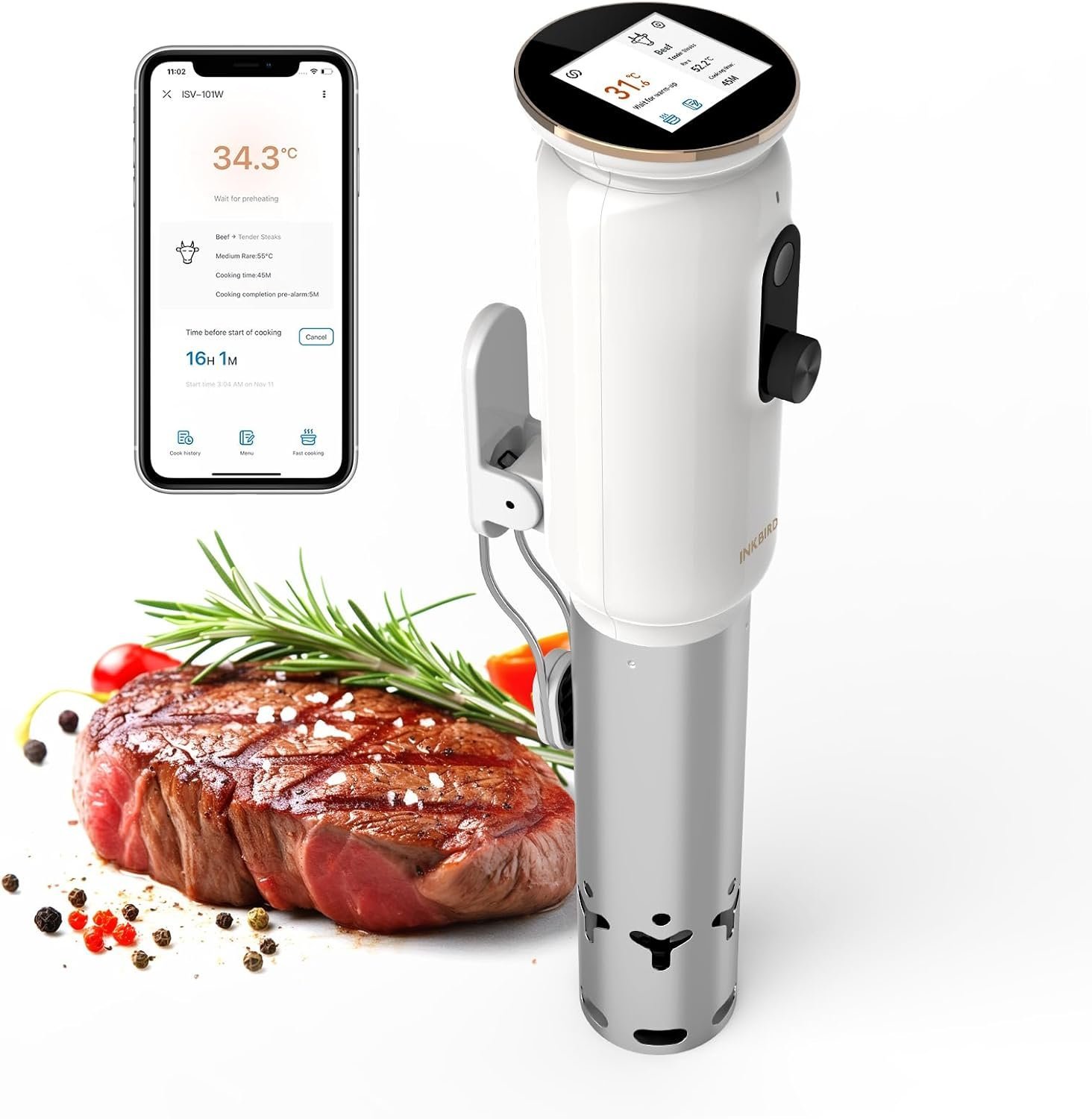 Inkbird ISV 101W